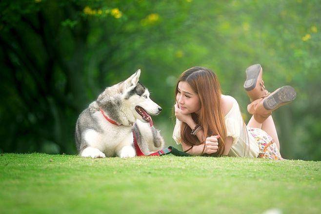 业链分析：现状、痛点、需求、趋势CQ9电子游戏网站宠物食品行业产(图1)