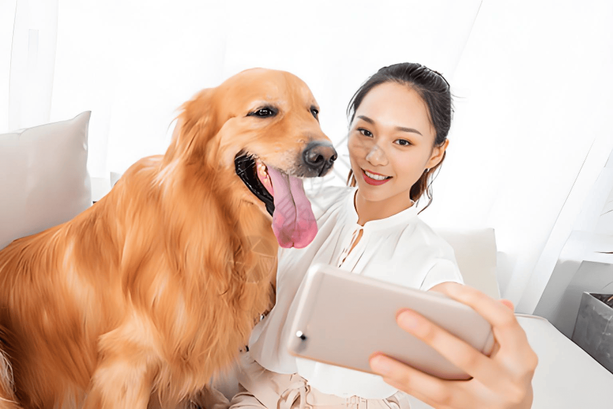 业链分析：现状、痛点、需求、趋势CQ9电子游戏网站宠物食品行业产(图2)