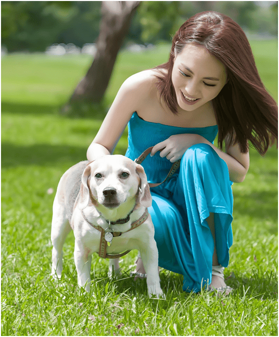 业链分析：现状、痛点、需求、趋势CQ9电子游戏网站宠物食品行业产(图3)