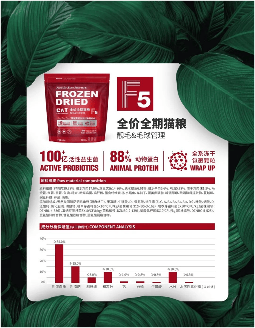 物食品品牌上新不断上心永远CQ9电子版入口豆子熊宠(图5)