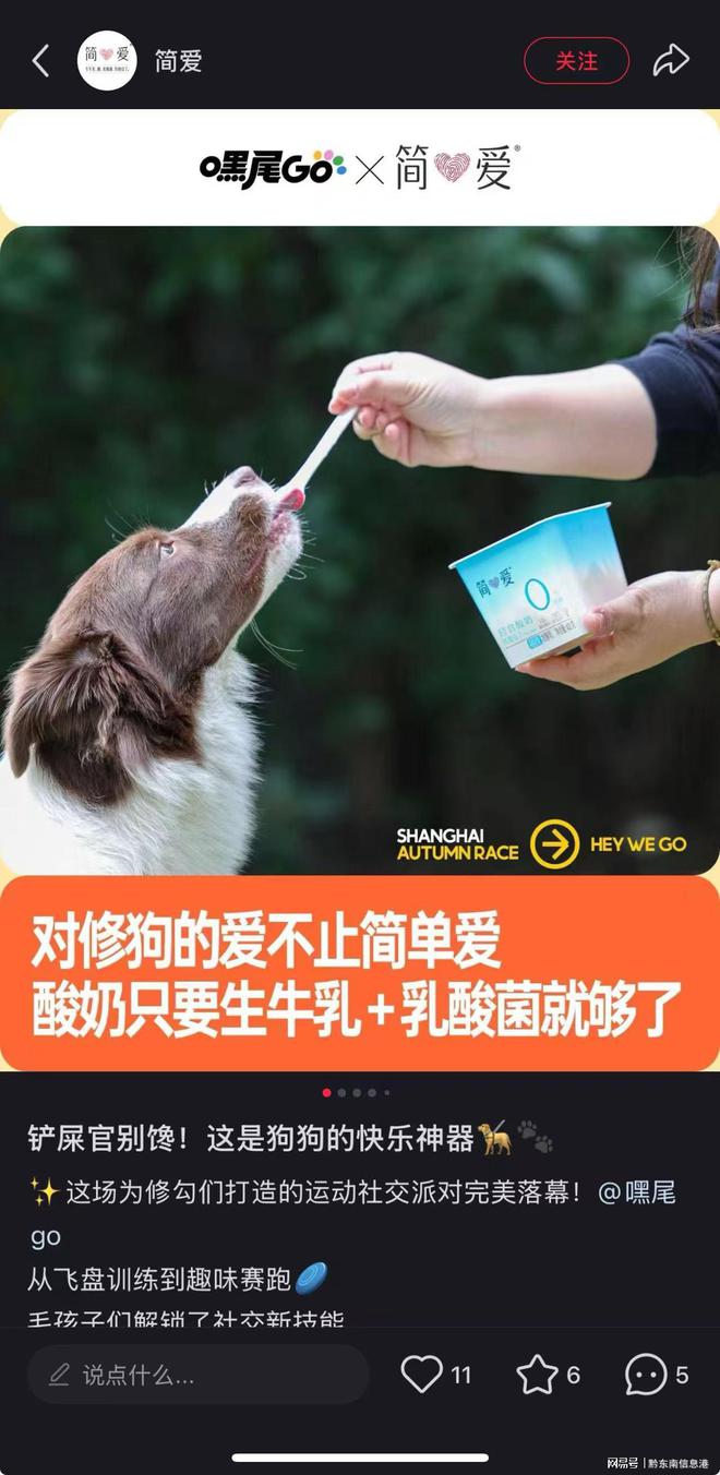 配方”撬动萌宠经济与母婴信任双赛道CQ9电子专用平台简爱酸奶以“纯净(图2)