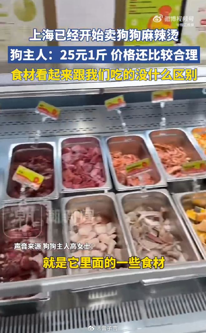 辣烫25一斤全是真肉上海狗有福了！CQ9电子破防了！上海惊现狗狗麻(图5)