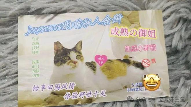 消费品从业者的五年创业思考CQ9电子网站深度 一个新