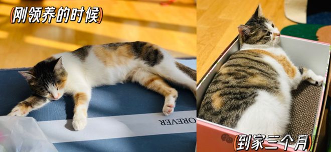 消费品从业者的五年创业思考CQ9电子网站深度 一个新(图3)