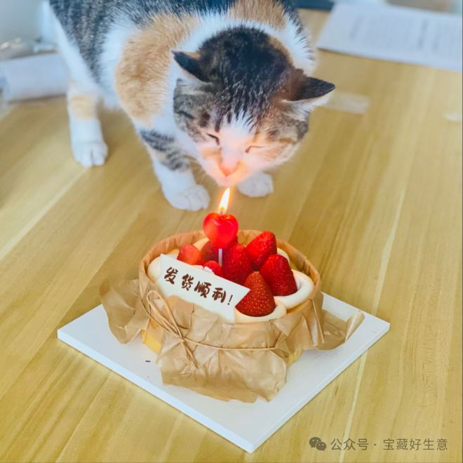 消费品从业者的五年创业思考CQ9电子网站深度 一个新(图11)