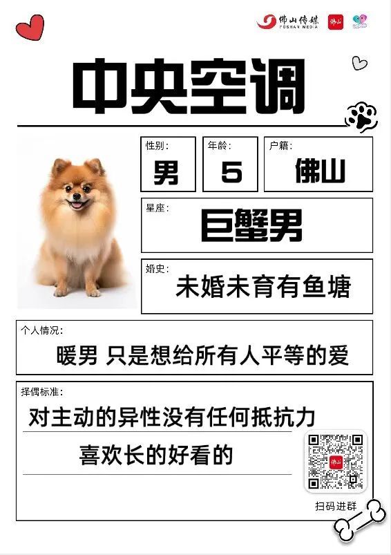 ！友趣会宠物交友墙火热招募中CQ9电子网站萌宠出道就现在(图2)
