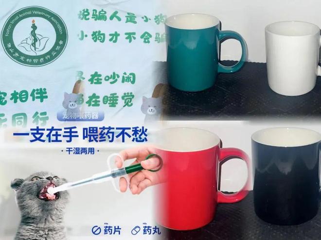 ！友趣会宠物交友墙火热招募中CQ9电子网站萌宠出道就现在(图4)